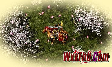 网通合击传奇网站