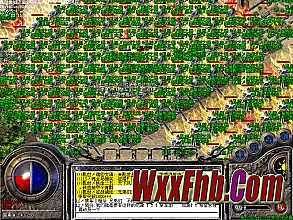 ��ʦ�������������