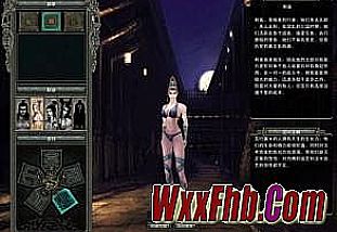 ����汾�����ִ̿ʹ����